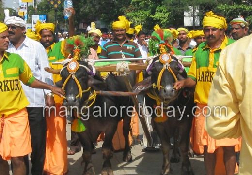 Kambala protes...